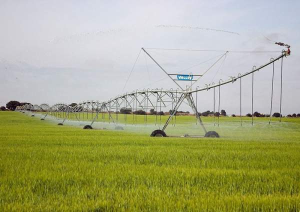 綠化苗木養(yǎng)護(hù)中灌水基礎(chǔ)知識(shí)匯總 綠化苗木養(yǎng)護(hù)中灌水基礎(chǔ)知識(shí)匯總