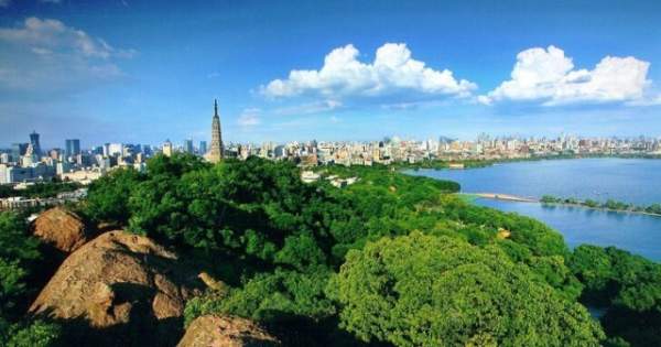 學(xué)習(xí)國(guó)外苗木行業(yè)經(jīng)驗(yàn)，搶先了解國(guó)內(nèi)市場(chǎng)動(dòng)態(tài)